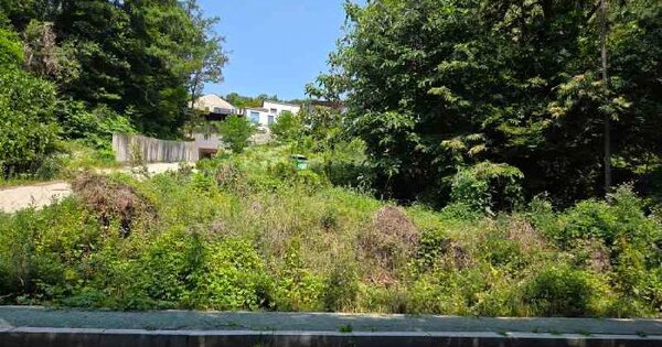 경기도 용인시 기흥구 동백동 81-198  미지정 경매 물건 이미지