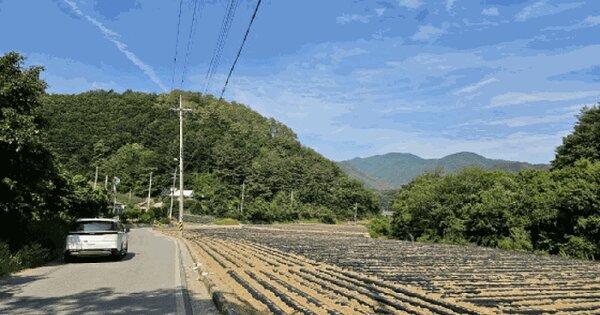 강원특별자치도 평창군 진부면 하진부리 555-2 전 경매 물건 이미지