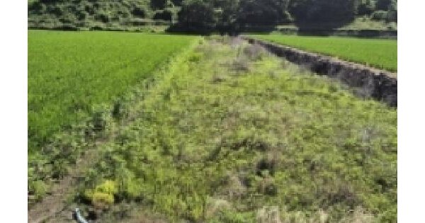 경상남도 고성군 동해면 장좌리 416-7  미지정 경매 물건 이미지
