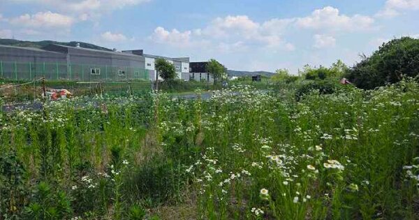 경기도 용인시 처인구 포곡읍 유운리 620-8  미지정 경매 물건 이미지