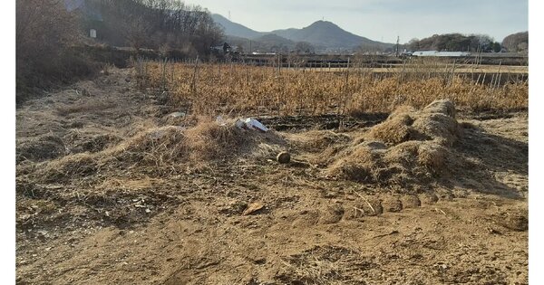 인천광역시 강화군 불은면 삼동암리 343-13 임야 경매 물건 이미지