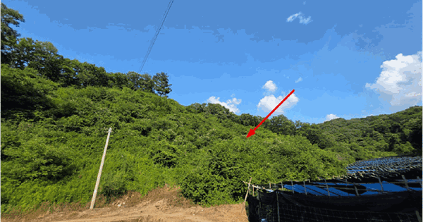 경기도 연천군 신서면 답곡리 산8 임야 경매 물건 이미지