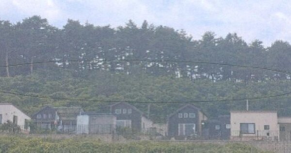 강원특별자치도 강릉시 담산동 289-20  미지정 경매 물건 이미지