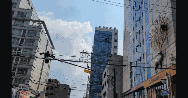 서울특별시 강남구 역삼동 837-13 강남역와이즈플레이스  11층1111호 미지정 경매 물건 이미지