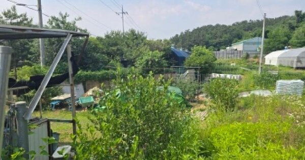 경기도 시흥시 미산동 489-1  미지정 경매 물건 이미지
