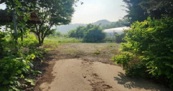 인천광역시 옹진군 영흥면 외리 222  미지정 경매 물건 이미지