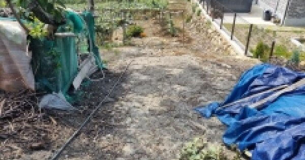 전라남도 광양시 옥곡면 대죽리 782-3  미지정 경매 물건 이미지