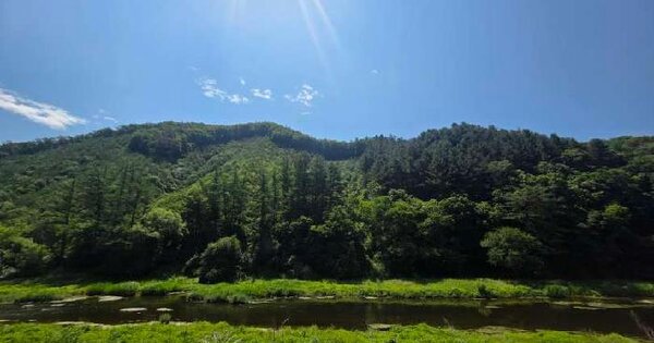 충청북도 제천시 봉양읍 장평리 산87-4  미지정 경매 물건 이미지