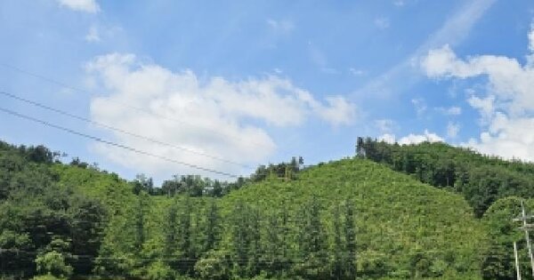 경상북도 영주시 단산면 옥대리 산92  미지정 경매 물건 이미지
