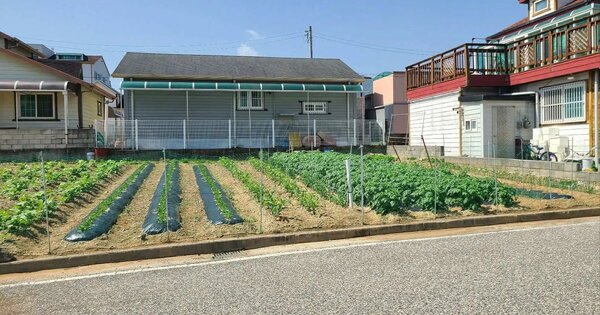 충청남도 금산군 금산읍 아인리 674-3 대지 경매 물건 이미지