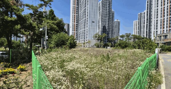 경기도 안성시 당왕동 44-5  미지정 경매 물건 이미지