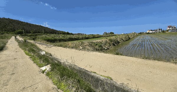 경상북도 포항시 북구 청하면 방어리 319-1  미지정 경매 물건 이미지