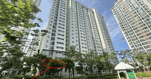 부산광역시 동래구 낙민동 77-1 낙민동한일유앤아이아파트 103동 2층201호 미지정 경매 물건 이미지