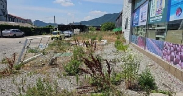 전라남도 해남군 해남읍 고도리 155-7  미지정 경매 물건 이미지
