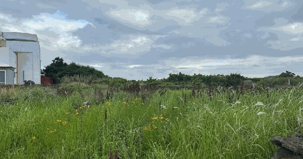 제주특별자치도 제주시 한경면 금등리 662-4  미지정 경매 물건 이미지