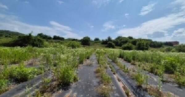 경기도 연천군 미산면 동이리 466-1  미지정 경매 물건 이미지