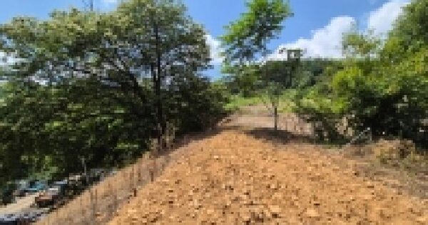 경기도 연천군 연천읍 읍내리 254  미지정 경매 물건 이미지