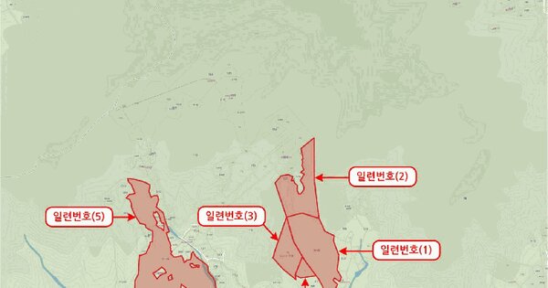 강원특별자치도 홍천군 두촌면 괘석리 산99  미지정 경매 물건 이미지
