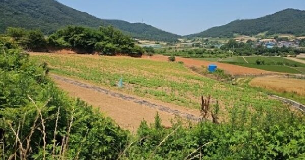 전라남도 해남군 화원면 마산리 산126-1  미지정 경매 물건 이미지