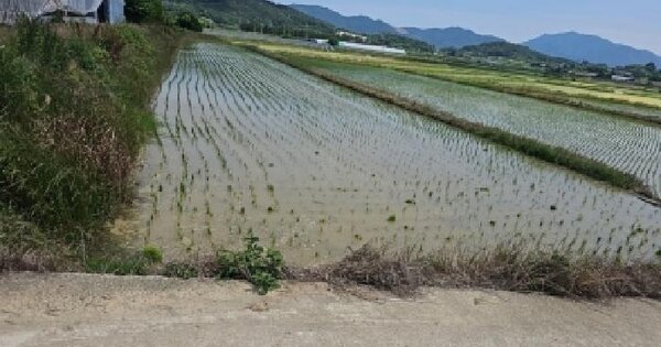 전라남도 해남군 해남읍 연동리 475-10  미지정 경매 물건 이미지