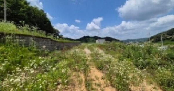 경기도 연천군 군남면 삼거리 271  미지정 경매 물건 이미지