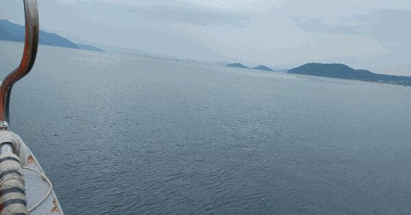 경상남도 고성군 삼산면 두포리 지선  면호번호 : 고성양식 452호 미지정 경매 물건 이미지