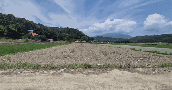 경상남도 하동군 금성면 가덕리 1237 답 경매 물건 이미지