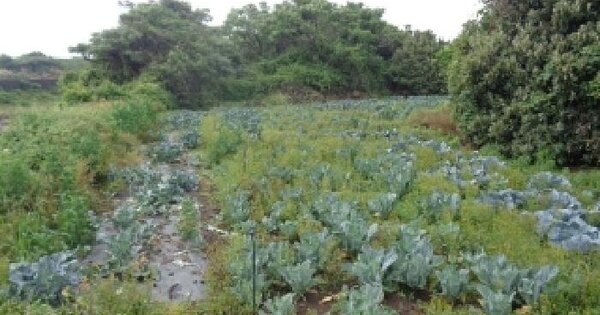 제주특별자치도 제주시 한림읍 귀덕리 841-2  미지정 경매 물건 이미지