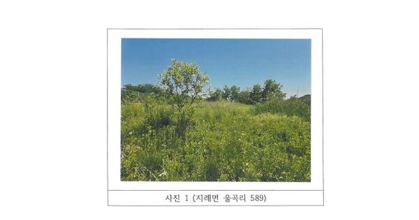 경상북도 김천시 지례면 울곡리 589  미지정 경매 물건 이미지