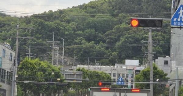 경상북도 김천시 신음동 산101-1  미지정 경매 물건 이미지