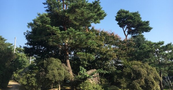 충남 당진시 송악읍 본당리 372-5 전 경매 물건 이미지