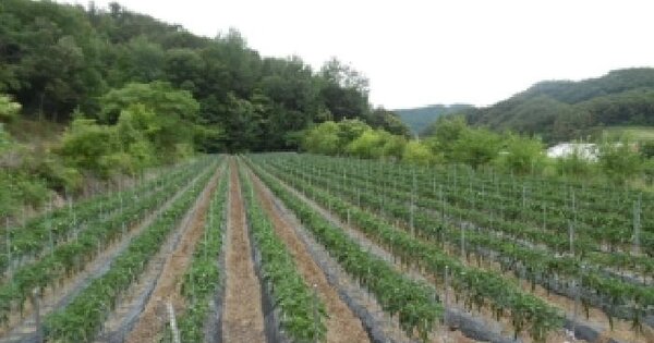 전북특별자치도 진안군 성수면 외궁리 1046  미지정 경매 물건 이미지