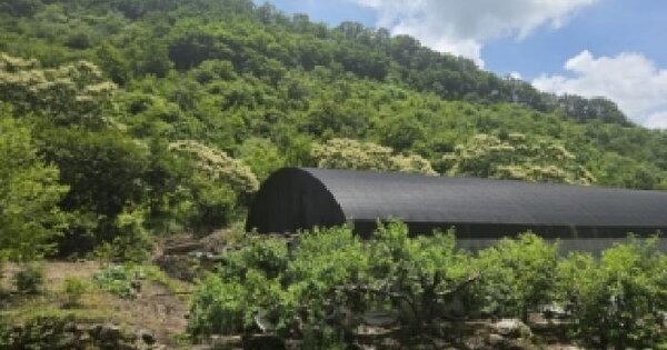 전라남도 순천시 월등면 계월리 185  미지정 경매 물건 이미지