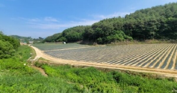 강원특별자치도 평창군 대관령면 차항리 48  미지정 경매 물건 이미지