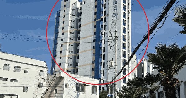 부산광역시 동래구 낙민동 294-22 아델리아 12층 1201호 미지정 경매 물건 이미지