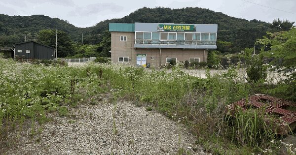 전라남도 화순군 도곡면 효산리 352-2  미지정 경매 물건 이미지