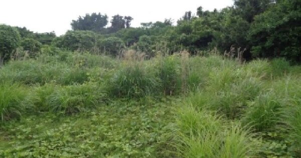 제주특별자치도 제주시 한경면 저지리 1524-2  미지정 경매 물건 이미지