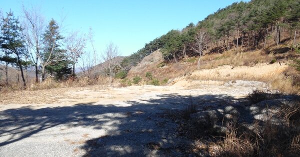 경북 경주시 산내면 내일리 OOOOOO 전 경매 물건 이미지