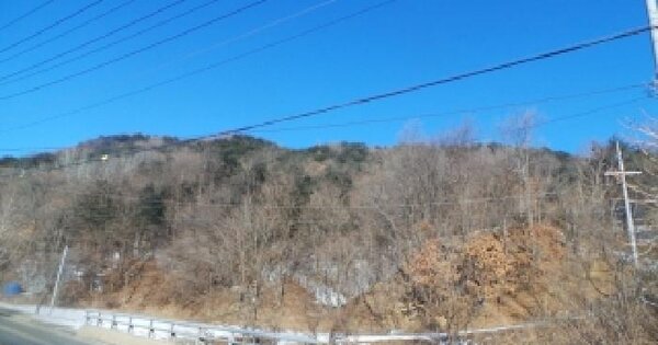 강원특별자치도 양구군 동면 팔랑리 964 잡종지 경매 물건 이미지