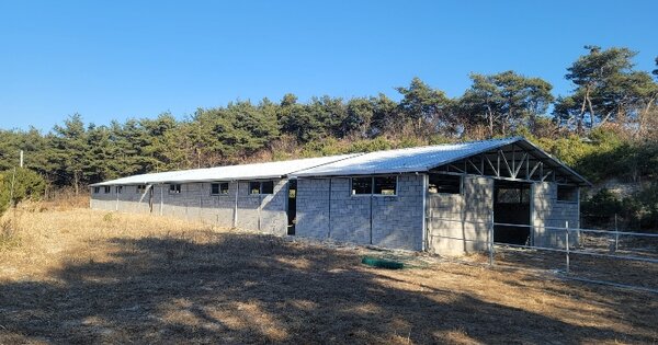 경상북도 봉화군 봉화읍 도촌리 266-5  동물 및 식물 관련시설 경매 물건 이미지
