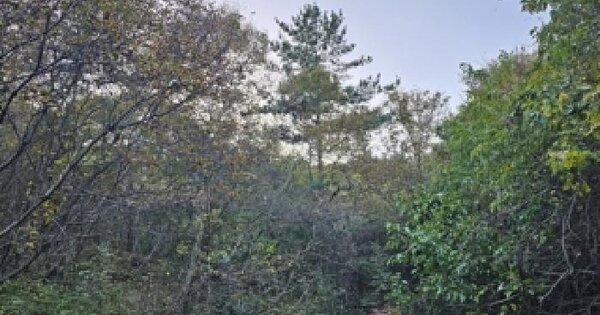 경상남도 하동군 진교면 진교리 601-1 전 경매 물건 이미지