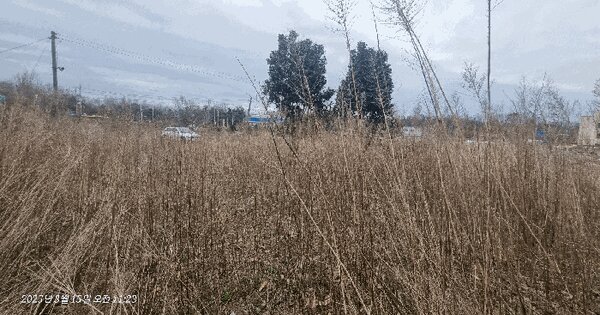 전북특별자치도 익산시 석왕동 29-23 대지 경매 물건 이미지