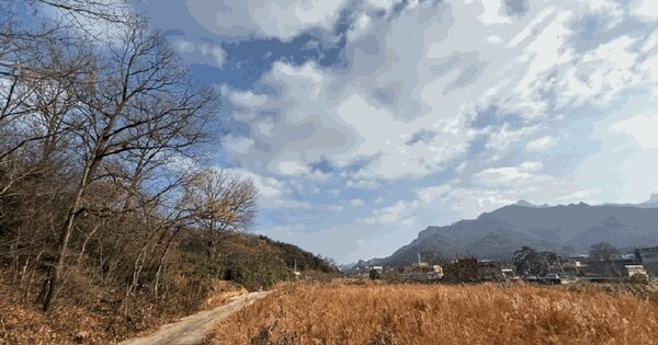 전라남도 영암군 영암읍 교동리 381-14 임야 경매 물건 이미지