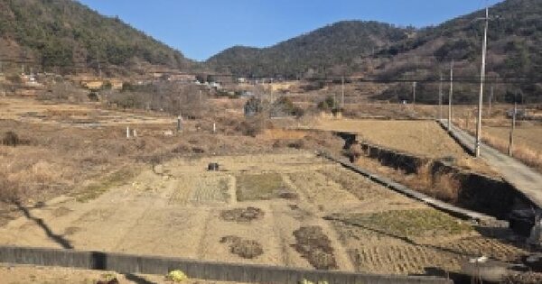 전라남도 순천시 별량면 무풍리 127 답 경매 물건 이미지