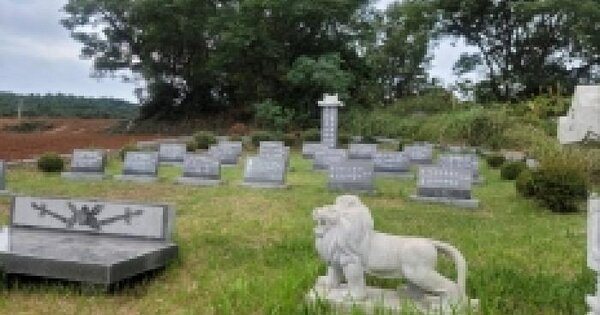 전라남도 고흥군 금산면 석정리 720-6  전 경매 물건 이미지