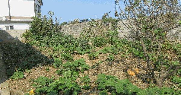 전라남도 고흥군 금산면 석정리 780-3  대지 경매 물건 이미지