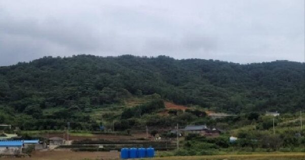 전라남도 고흥군 금산면 석정리 산213 임야 경매 물건 이미지