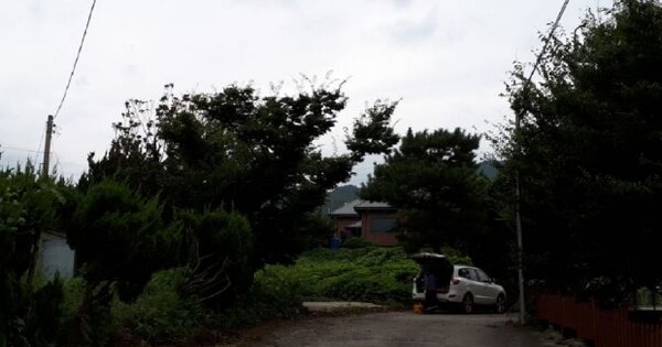 경남 양산시 하북면 삼감리 OOOOO 임야 경매 물건 이미지