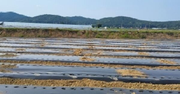 경기도 파주시 적성면 식현리 228-3  미지정 경매 물건 이미지