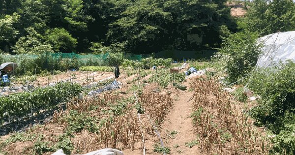 대전광역시 유성구 용계동 114-1  미지정 경매 물건 이미지